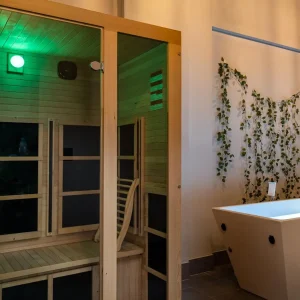 Fitness Recovery Sauna