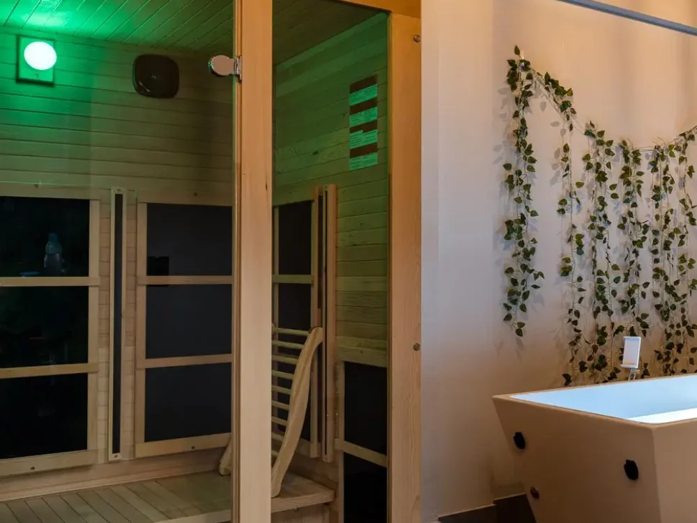 Fitness Recovery Sauna